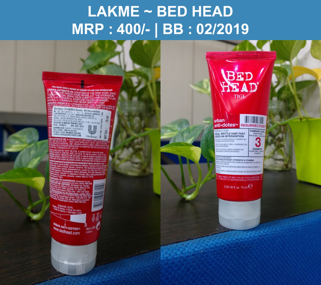 TIGI BED HEAD SHAMPOO ON 100% Trs